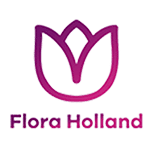 flora holland